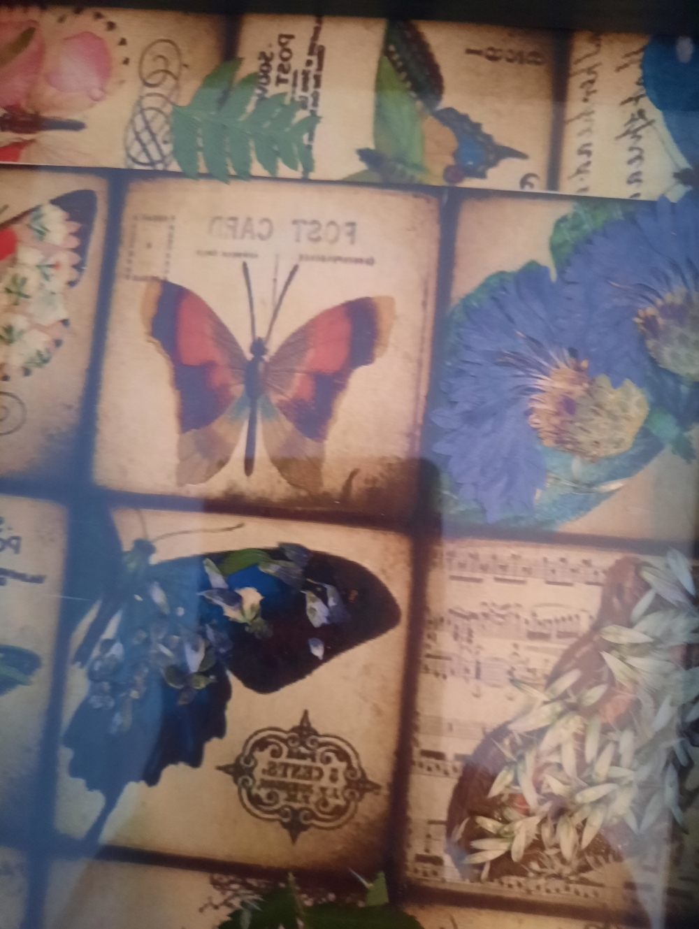 Draft - Picture 3 of 7